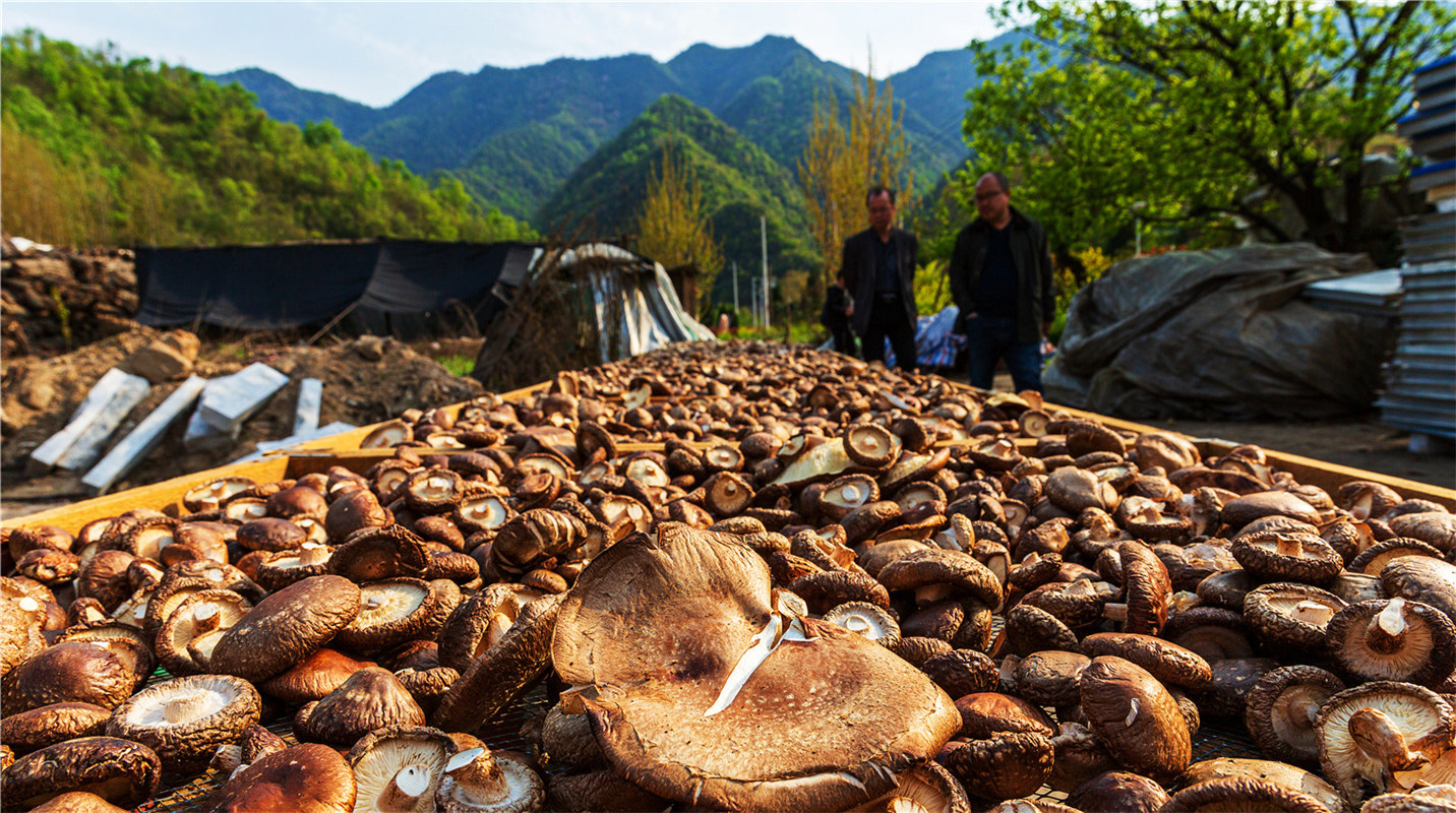《結(jié)對(duì)幫扶，碩果累累》高波